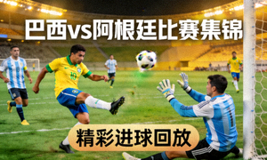 巴西vs阿根廷 比赛集锦 精彩进球回放